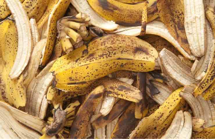 Bucce di banana