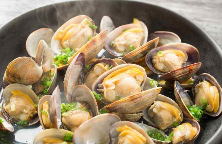 Preparazione vongole