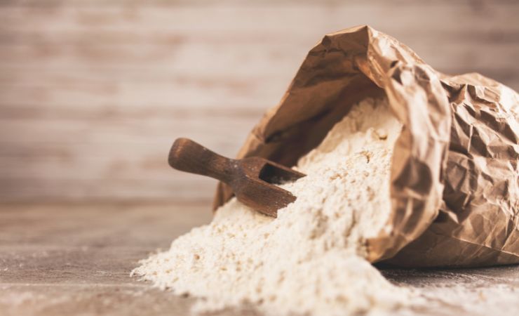 farina e incubo insetti 