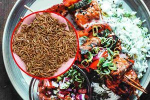 Un piatto unico molto colorato e, in evidenza, delle larve