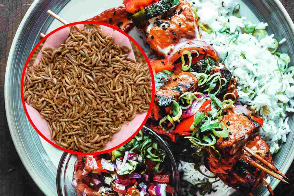 Un piatto unico molto colorato e, in evidenza, delle larve 