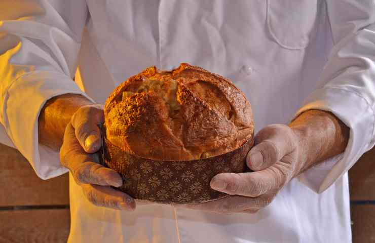 panettone nelle mani di un pasticciere
