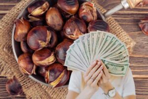 castagne e uomo con soldi
