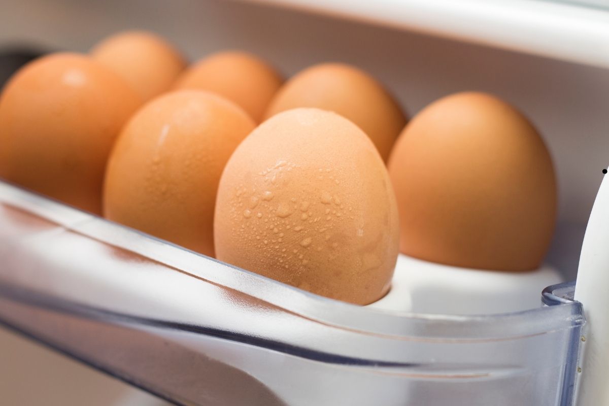 uova frigorifero