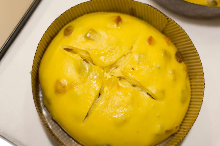 Impasto del panettone dentro allo stampo