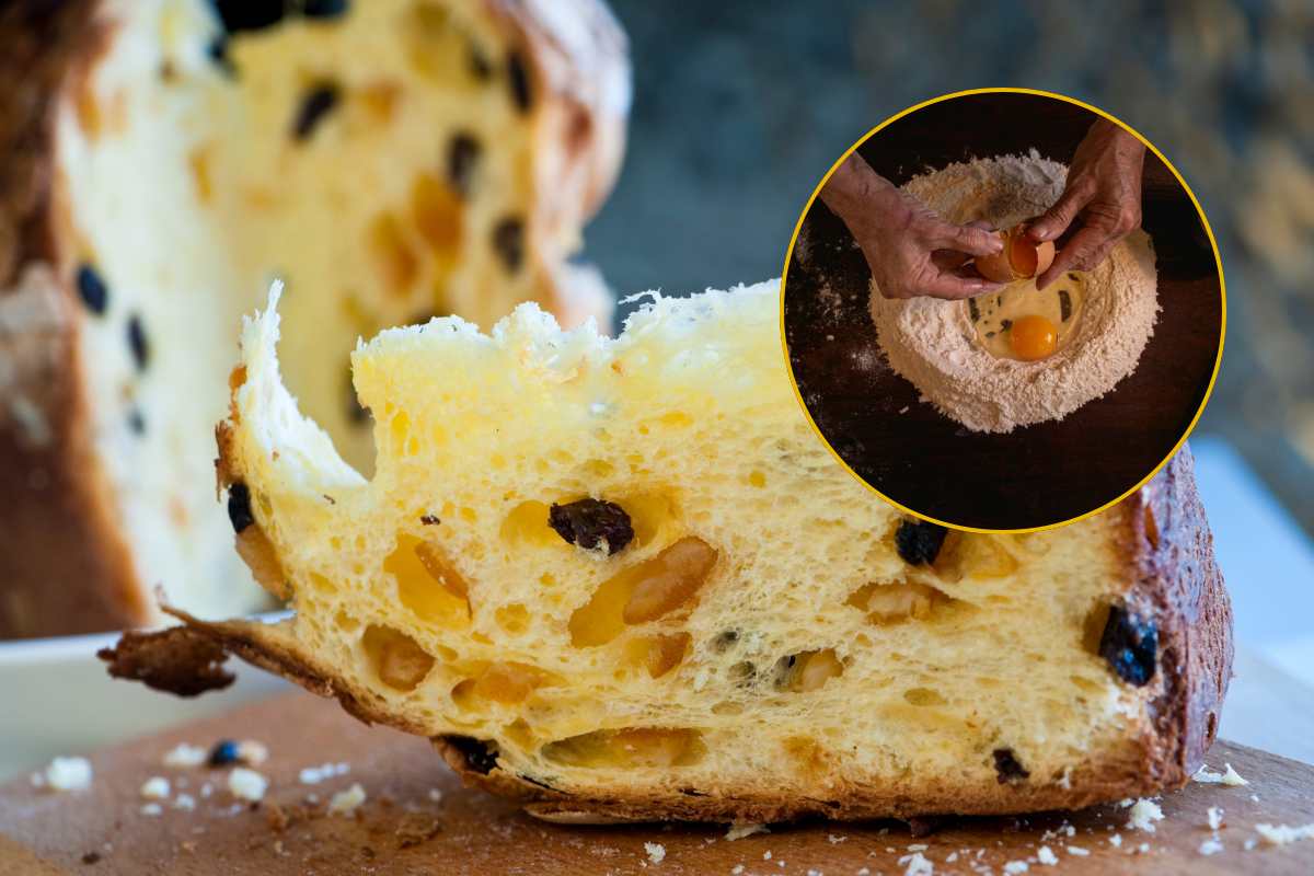 Panettone con canditi