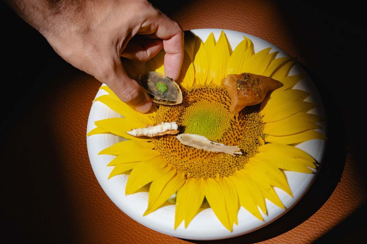 Impiattamento del ristorante Coro: pietanze che vengono adagiate sopra ad un girasole a sua volta sopra al piatto