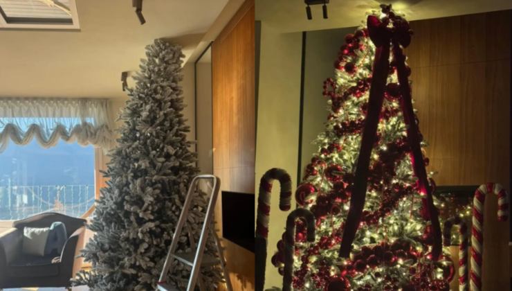 Collage dell'albero di Natale di Cannavacciuolo