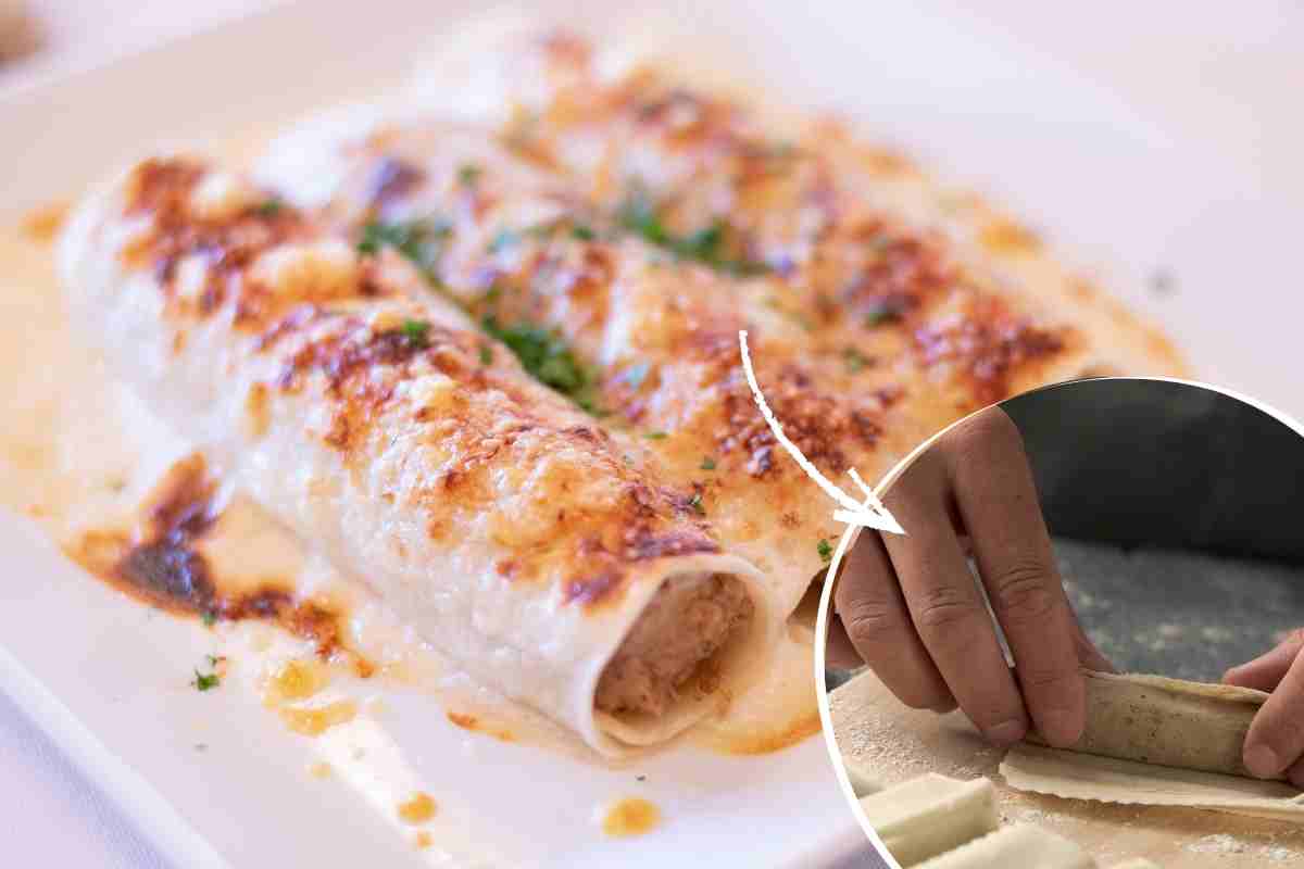 preparazione cannelloni