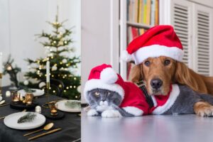cibi vietati cani e gatti a Natale