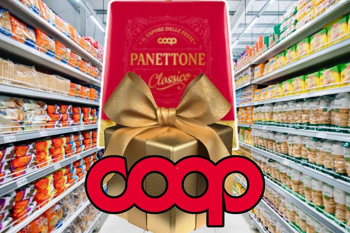 Panettone Coop 