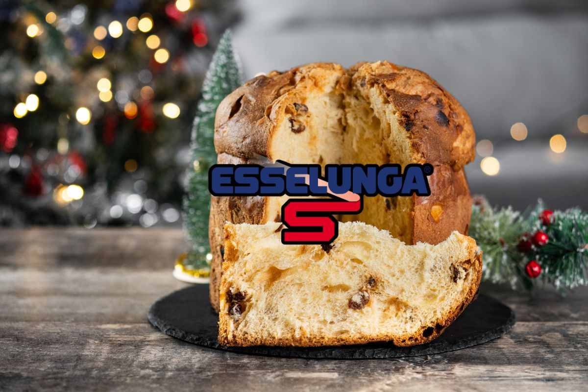 panettone natalizio e logo esselunga