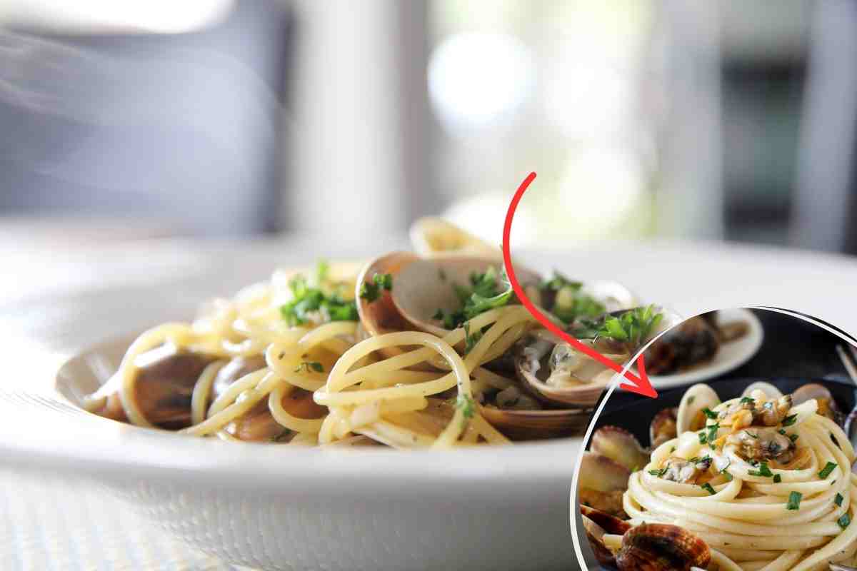 spaghetti alle vongole impiattati