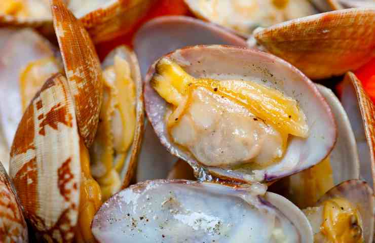 vongole ancora nel guscio