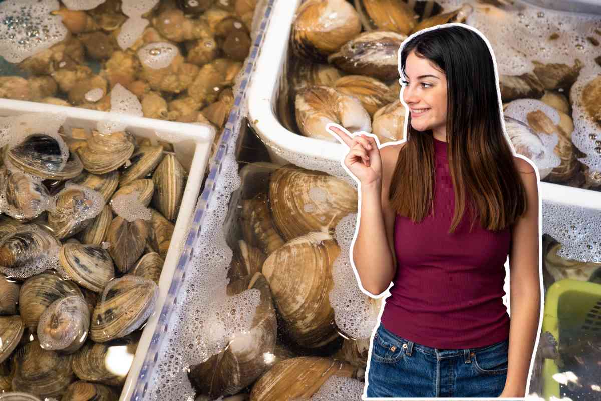 vongole conservate in acqua