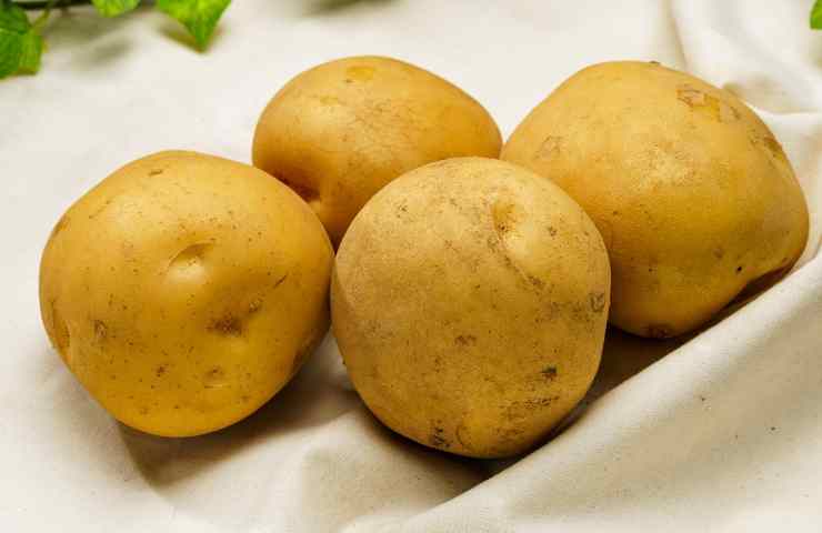 patate a pasta gialla