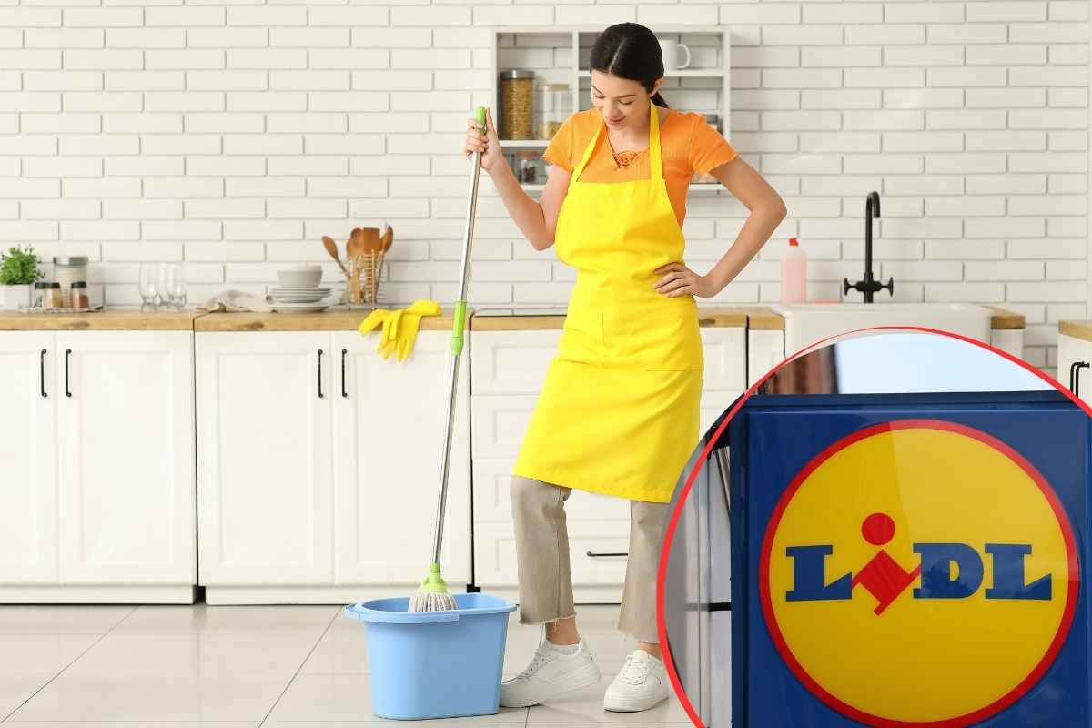 donna che fa le pulizie