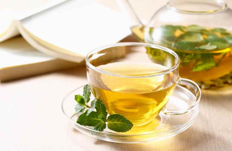 tisana alla menta