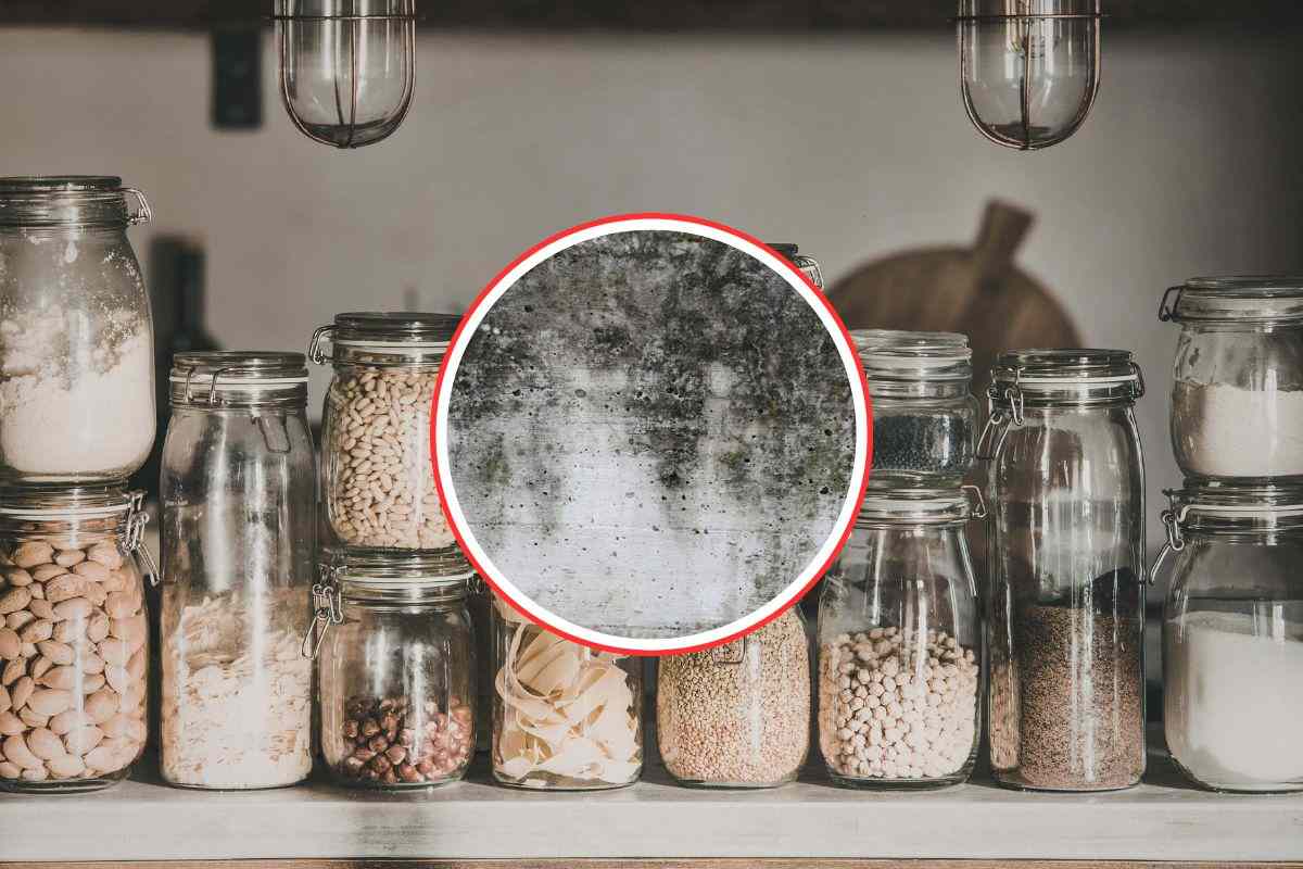 barattoli in dispensa e muffa