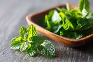 foglioline di menta fresca